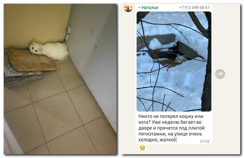 ��������� ����� � ����� ��������� �� ����� � �����������