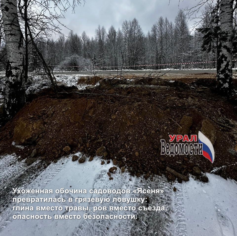 Вместо ухоженной территории — грязь и угроза