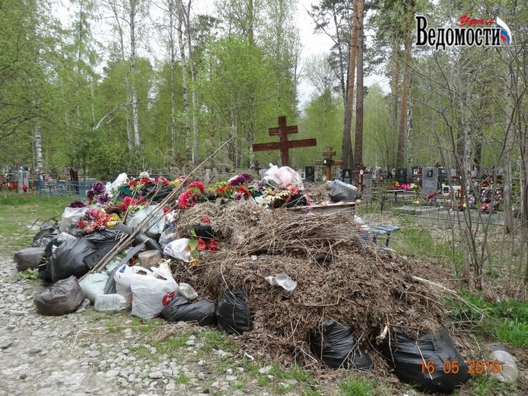 Аплодируем стоя!!!». Жители Среднеуральска обсуждают «успехи» первого года  работы самого молодого мэра - Андрея Зашляпина - ВЕДОМОСТИ Урал - Новости  Екатеринбурга и Свердловской области сегодня