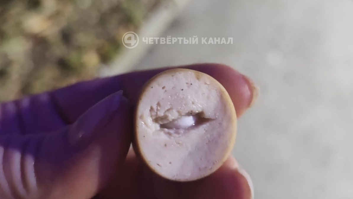 На Эльмаше "завёлся" догхантер, разбрасывающий отравленную еду