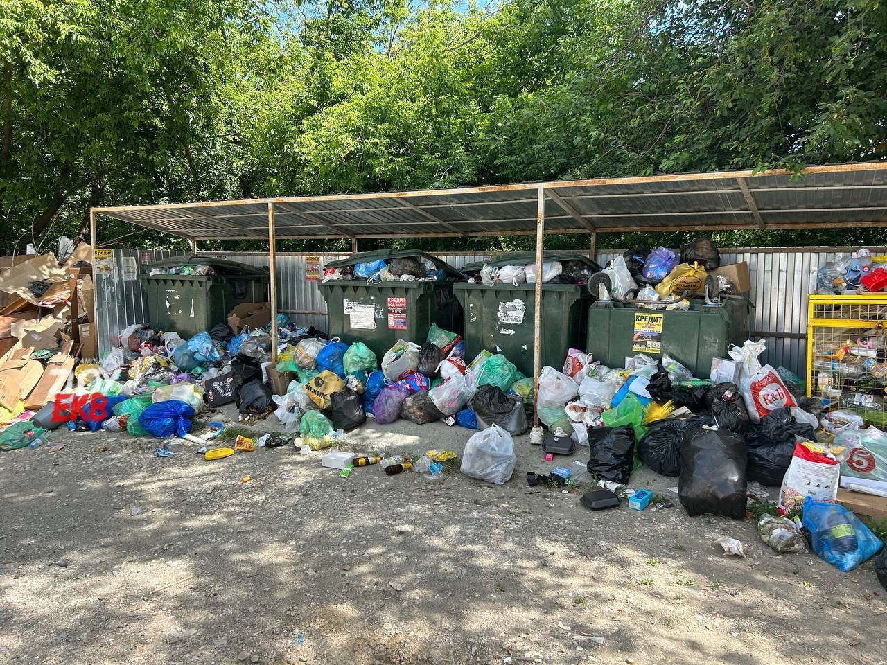 В Ревде и Дегтярске возникла экологическая проблема местного масштаба: в  городах не вывозят мусор - ВЕДОМОСТИ Урал - Новости Екатеринбурга и  Свердловской области сегодня