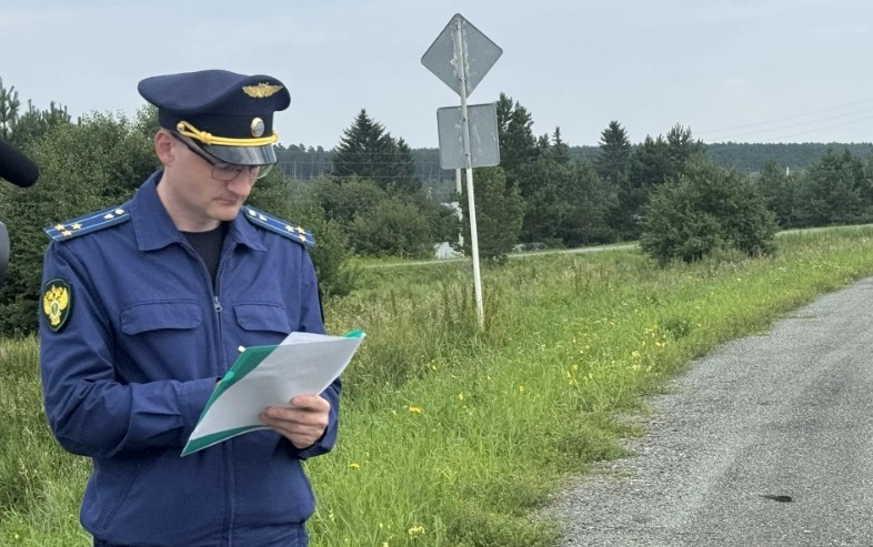 Прокуратура вернула муниципалитету три участка в Сысертском районе
