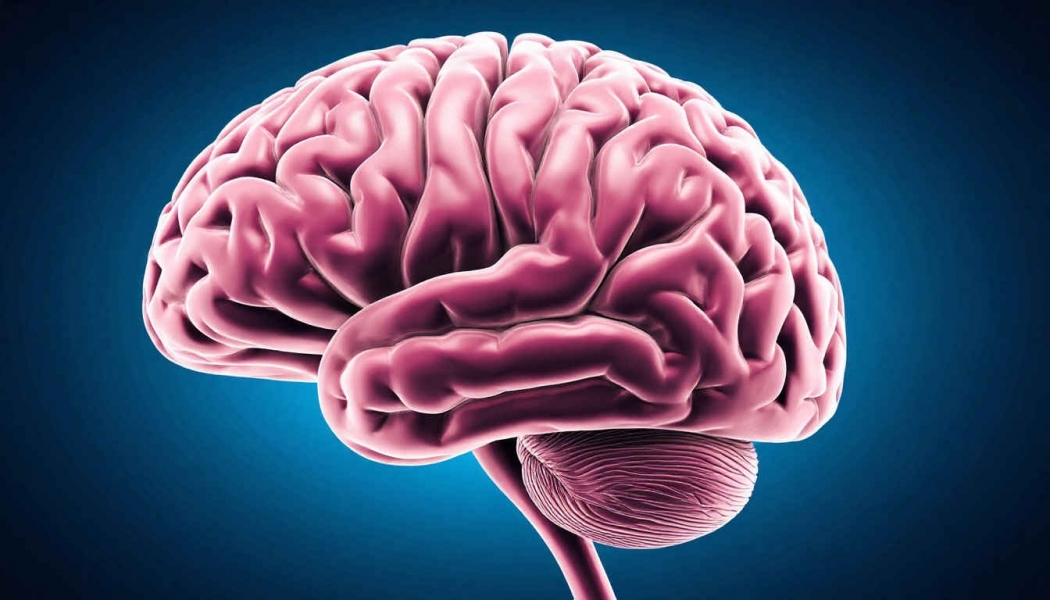 ������ ��������, ��� ��� ������ ���� �� ����� ���������� - ��������� ����