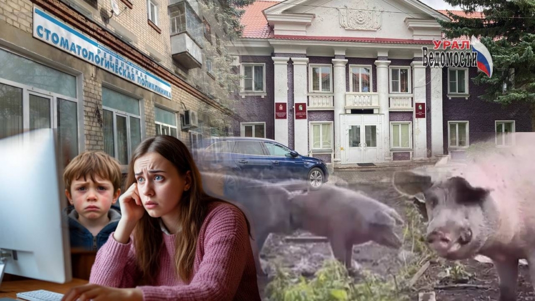 Ревда: и свиньи бродят, и дети страдают - вся надежда на новых депутатов... Горожанка 600 дней не может записать ребенка на прием ко врачу - ВЕДОМОСТИ Урал - Новости Екатеринбурга и Свердловской области сегодня