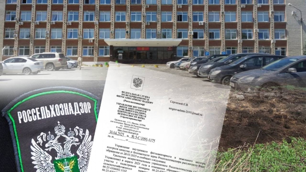 Земельные участки арестованы: жители Сысертского района добились «маленькой, но значимой победы» в борьбе против строительства мусорного полигона - ВЕДОМОСТИ Урал - Новости Екатеринбурга и Свердловской области сегодня