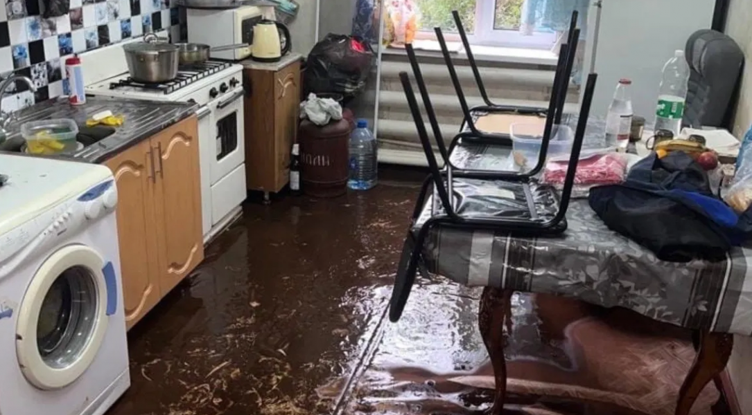 ��� ������, ���� ������ ��������? - ��������� ����