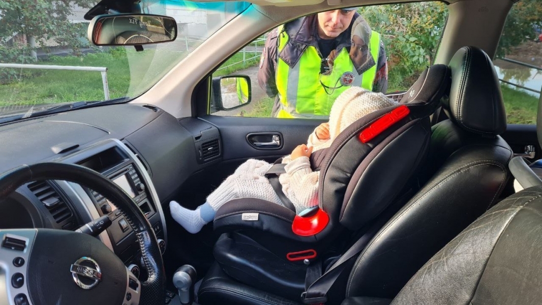 ������������ ����� � ����������: ��� ������� ���������� ���������� - ��������� ����