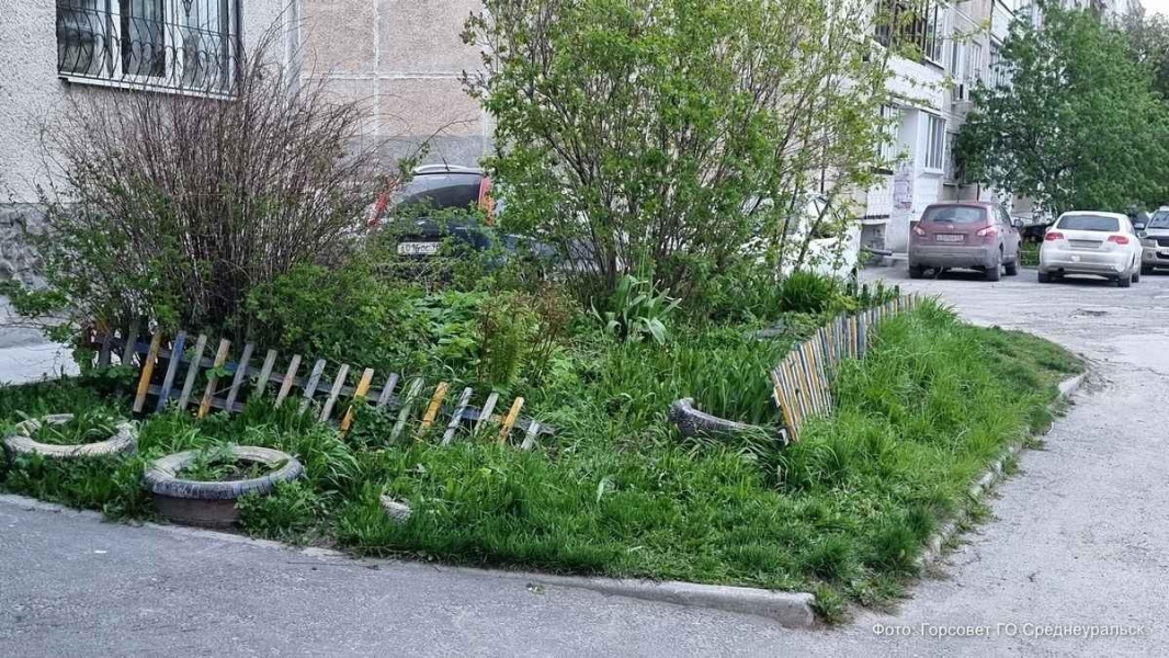 ������ ����: ��� ������� ������ ����������� �������� � ��� ��������� � �������� - ��������� ����