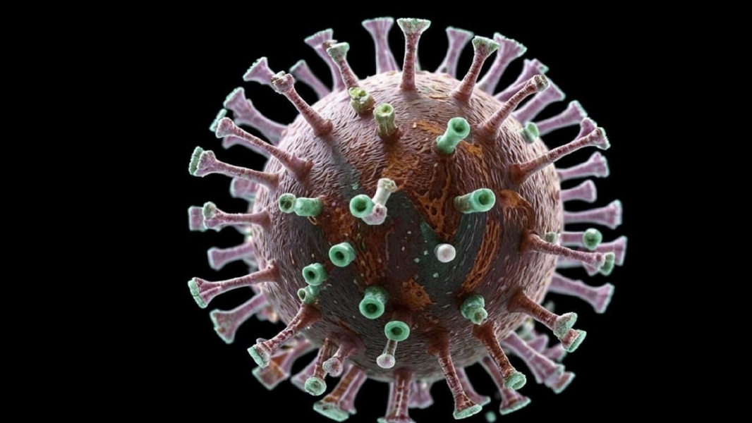 ������������, ������ � ������: ����� � ������� - ��������� ����