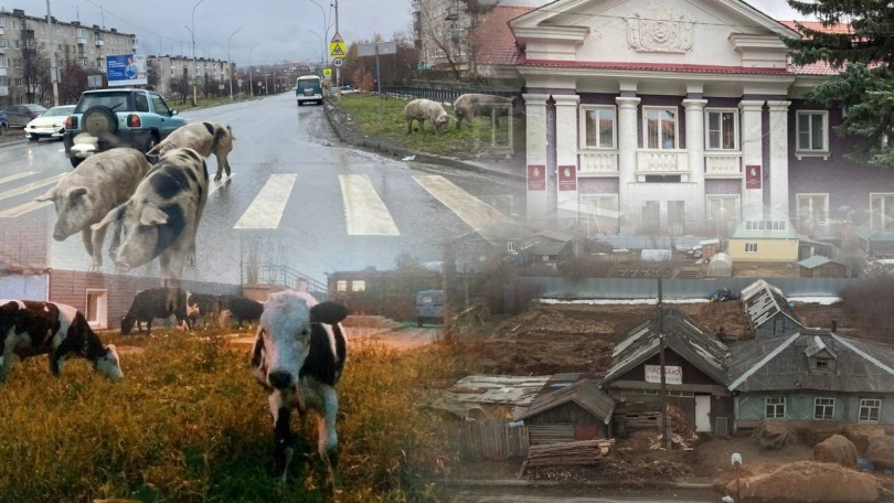 В Ревде жители многоквартирного дома требуют, чтобы мэрия избавила их от зловония - ВЕДОМОСТИ Урал - Новости Екатеринбурга и Свердловской области сегодня