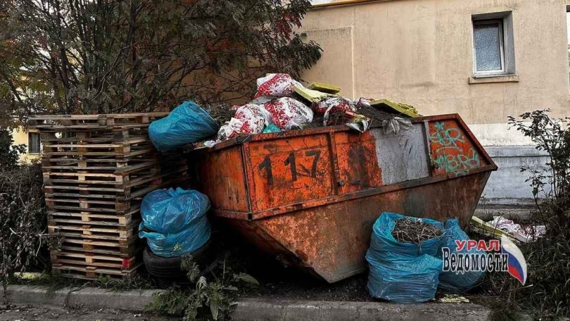 � ������������� ��������� ����������� ������ 6 ��� ������ - ��������� ����