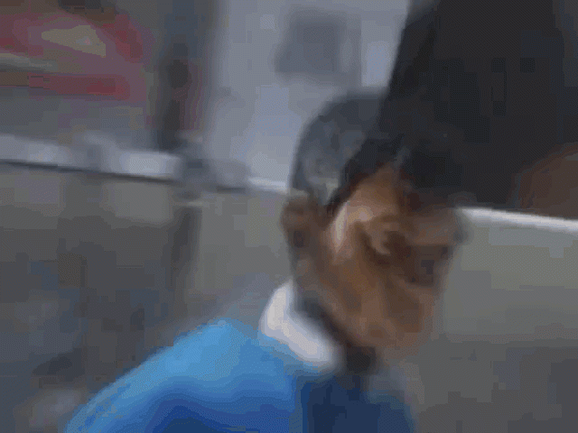     ,     -   -      