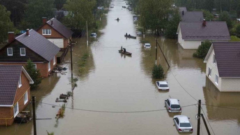 ���������� � ������������� ������ ������������� �������� - ��������� ����