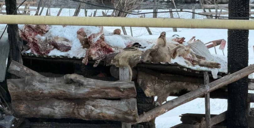 � ����� ������ ����� ����� ������, �� ����� �� �������� - ��������� ����