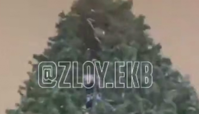 ���� �������� ������� ������� ���� ������������� � �������� - ��������� ����