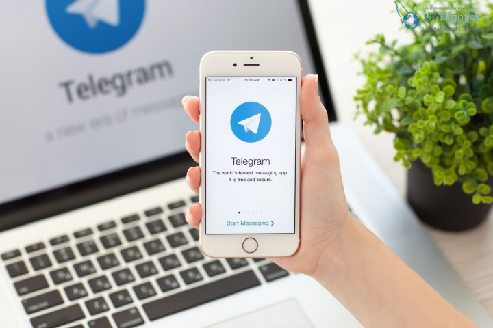      Telegram -   -      