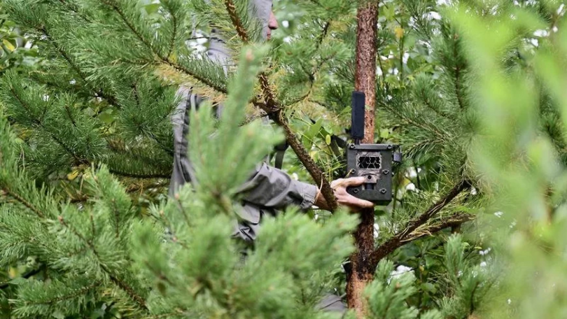 7 млн руб. потратят на фотоловушки для фиксации лесных поджигателей - ВЕДОМОСТИ Урал - Новости Екатеринбурга и Свердловской области сегодня
