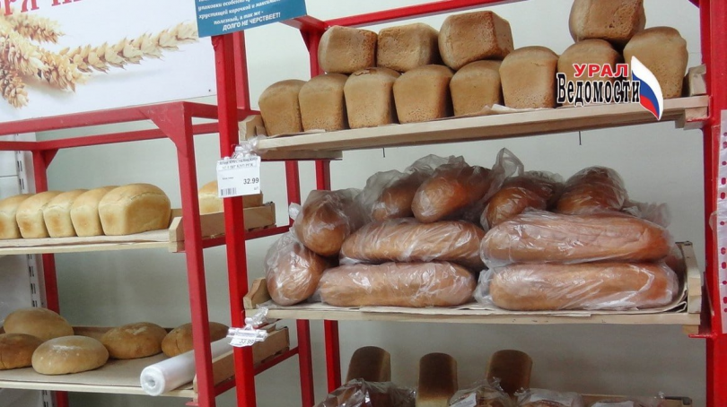 � ������ ������ ����� ���� �� ����� ���� - ��������� ����