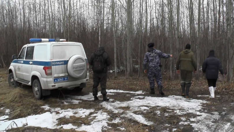 Ужасная находка: в Серове обнаружена голова женщины в лесу - ВЕДОМОСТИ Урал - Новости Екатеринбурга и Свердловской области сегодня