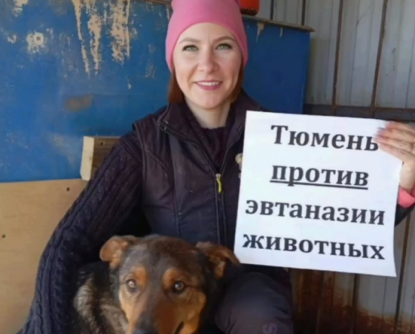 Зоозащитники в Тюмени запустили флешмоб против эвтаназии животных - ВЕДОМОСТИ Урал - Новости Екатеринбурга и Свердловской области сегодня