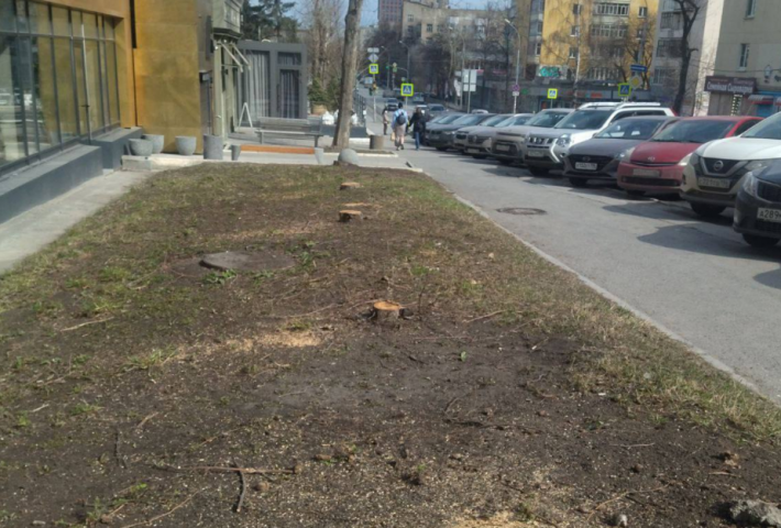 В Екатеринбурге незаконно вырубили деревья на улице Первомайской - ВЕДОМОСТИ Урал - Новости Екатеринбурга и Свердловской области сегодня