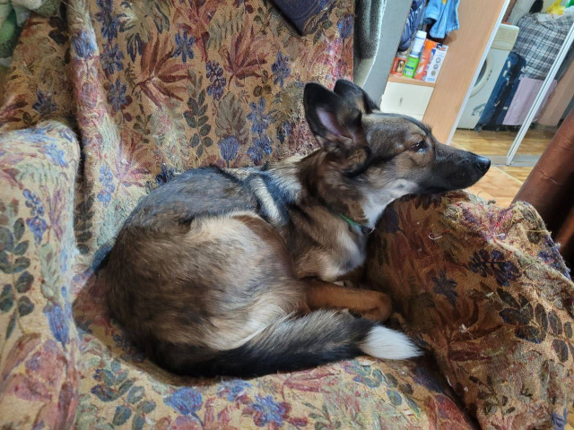 � ������������� ������ �� ������� � �������� ������ - ��������� ����