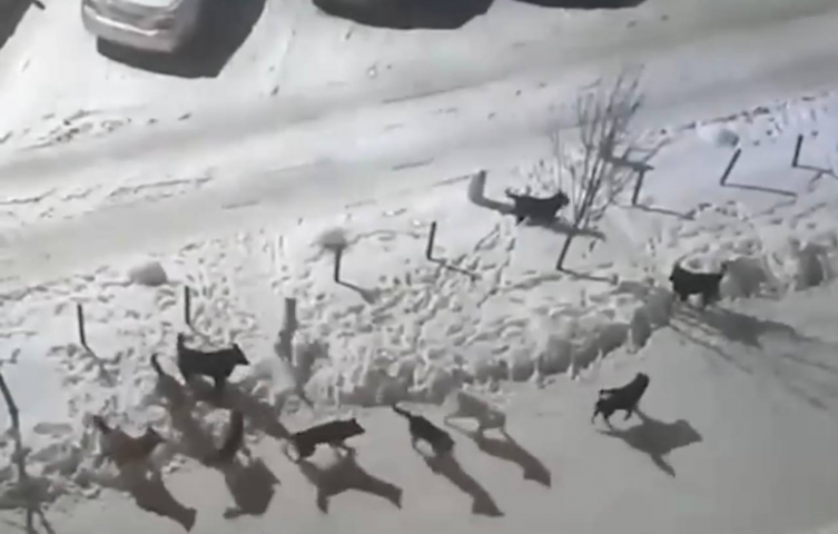 ������ ����� ������ ������ �������� ��-�� ���� �� 13 ����� - ��������� ����