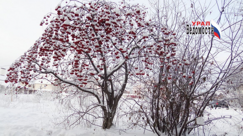 � ������������ ������� ���� ������ �� -29�C � ���� - ��������� ����