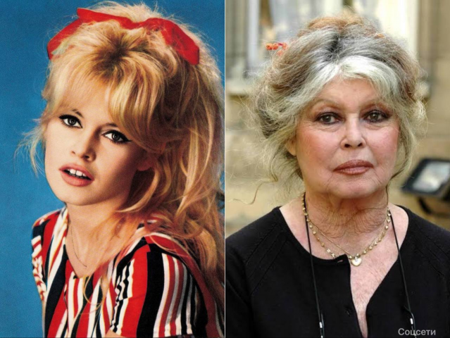 ������ ����������� ����������� ������� ������ ����� - ��������� ����