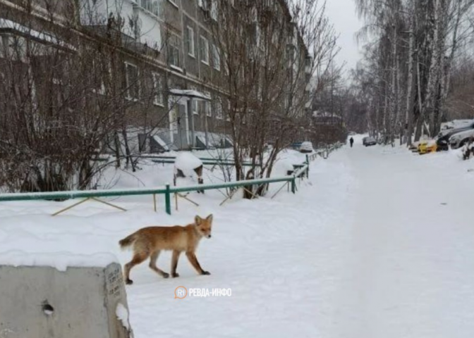 ������ ����� �������� ��� � ������ - ��������� ����