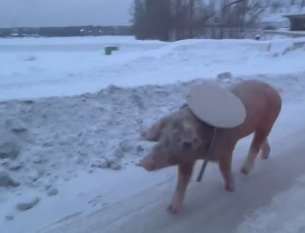 ������ � ���������� �� ����� ������ ������� ����� - ��������� ����