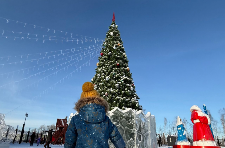 ����������� �� ������� ���� ������������ ������� ��������� �� 12 ������ - ��������� ����