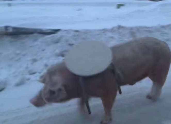 ������ �������� ������ � ����� ������� ������� - ��������� ����