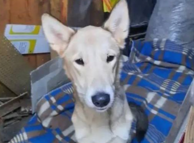 �������� ����� ��� ��� ������, ��������� � ������� ���� �� ���� - ��������� ����