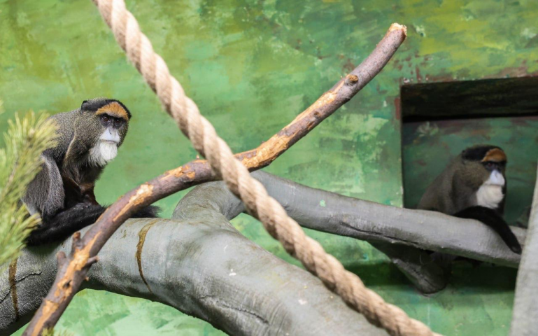 � ���������������� �������� ���������� ���������� �������� ������ - ��������� ����