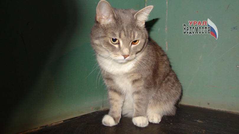 �������� �������� � ������ ������ ���������� - ��������� ����