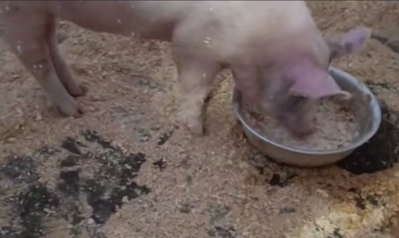 � ����� ������ ������� ������ �� ������� - ��������� ����