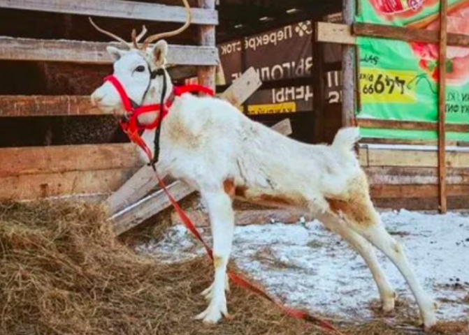 ����������� �� ������������� ������� ������� � ������ - ��������� ����