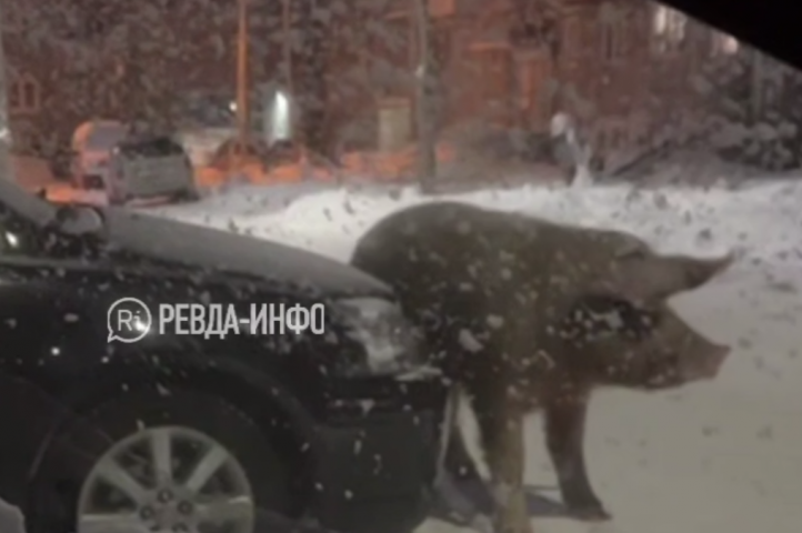 ������ ���������� �� ���������� � ����� - ��������� ����