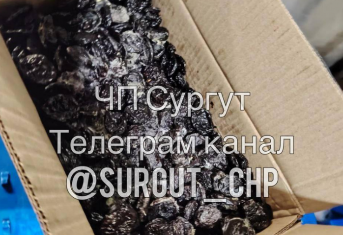 � ���������� ����� ��������� ������ �� �������������� ���������� - ��������� ����