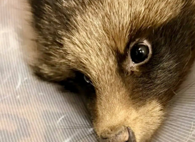 ���� � ���������� ����� ������ � ����� �� ������� � ���������� ������ - ��������� ����