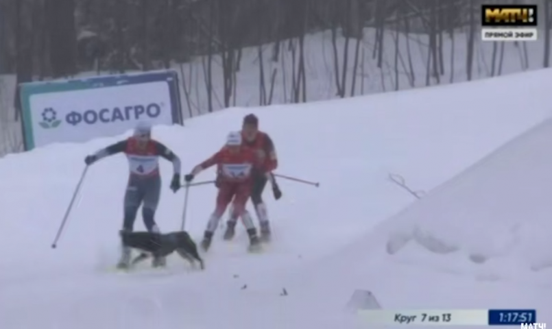 ������ ����� ������� �������� �� ��: ���������� � ���� ������� - ��������� ����