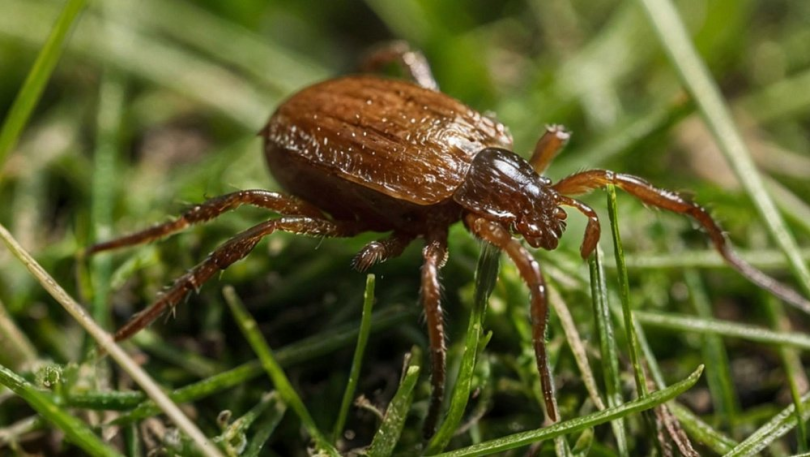 ���������� ���� ������� ���������� ������ � ������������ ������� - ��������� ����