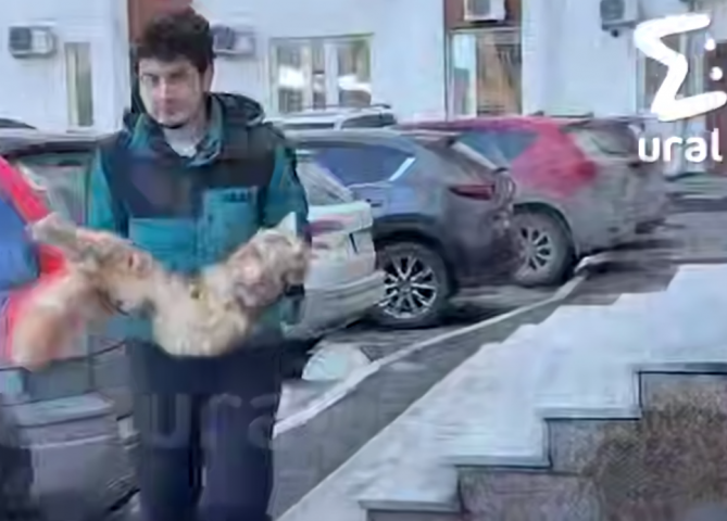 ��� ������� � ���� ����������� � ������������� � �����: ��������� ���������� �������� - ��������� ����