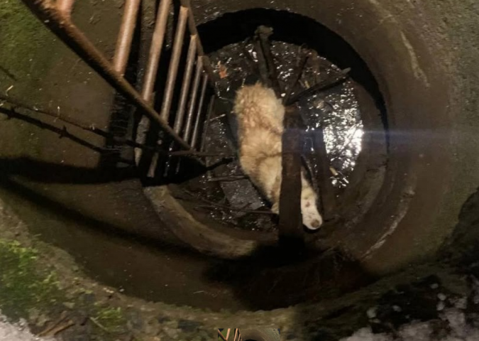 ������ ������������� � ������� ������ � ������� - ��������� ����