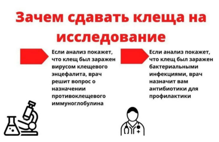 ����� 240 ����������� ���������� �� ������ ������ � ������ ������ - ��������� ����