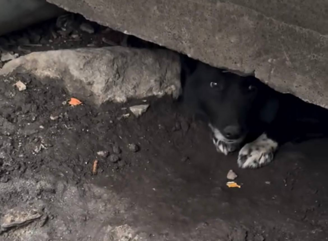 ����� ����� ����� ��� �������� ����� ����� ����, ��� ��� ������� ��� - ��������� ����