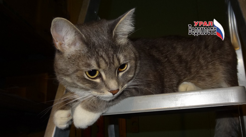 ������ �������� ���� ������ ������� ��� �� ��������� ������ - ��������� ����