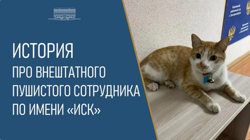 ��� ��� ���� ����������� ���� � ������������� - ��������� ����