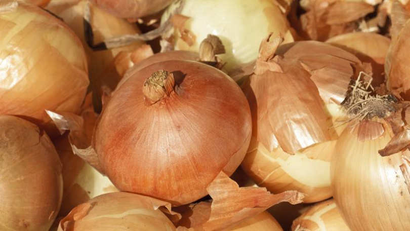 � ������������� ������� ������ ������� �� 15 ������ - ��������� ����